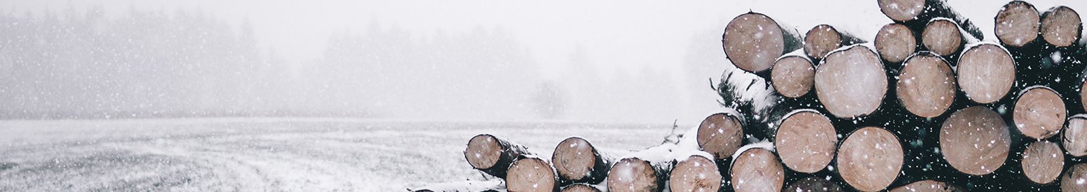 Danish winter with logs