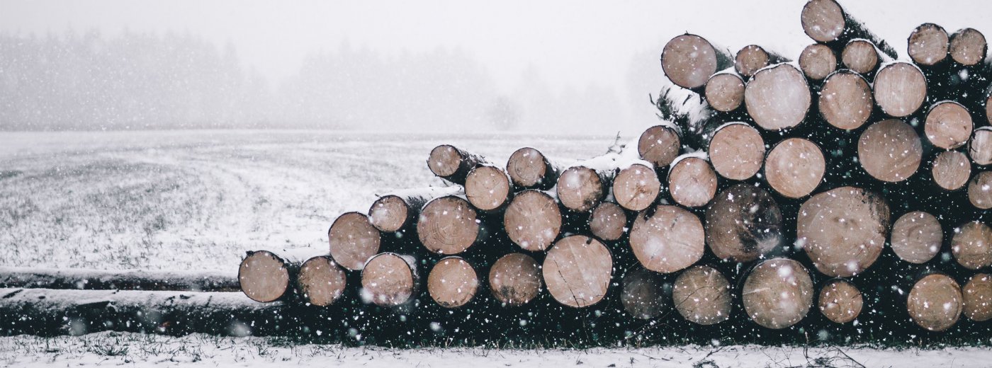 Danish winter logs
