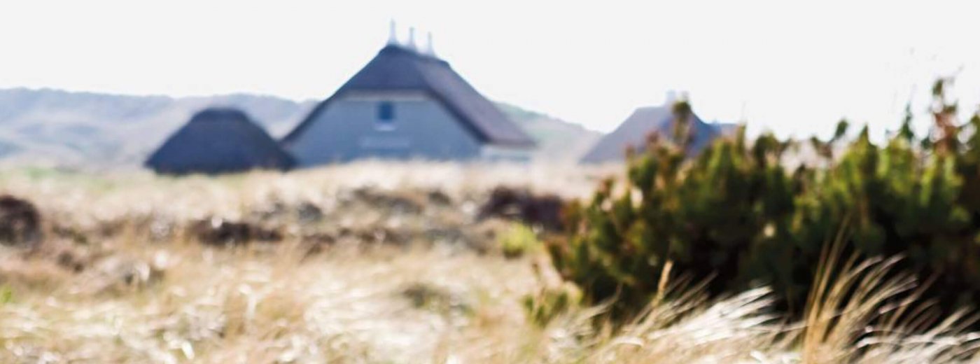 Fält med spannmål i förgrunden och traditionellt danskt hus med halmtak i bakgrunden