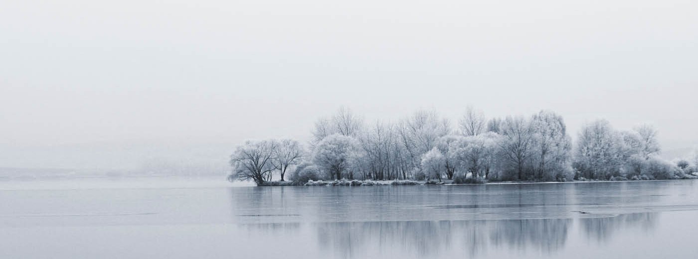 Snötäckt trädö med frostiga träd vid en stilla sjö i vinterlandskap, svept i dimma och lugn stämning